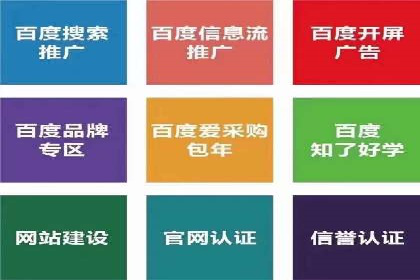 专业SEM托管服务，效果显著的案例展示